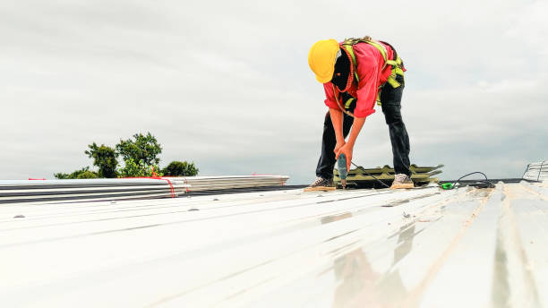 Best Solar Panel Roofing Installation  in Albertville, MN